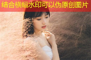 提升食品安全：上海扶贫的关键环节